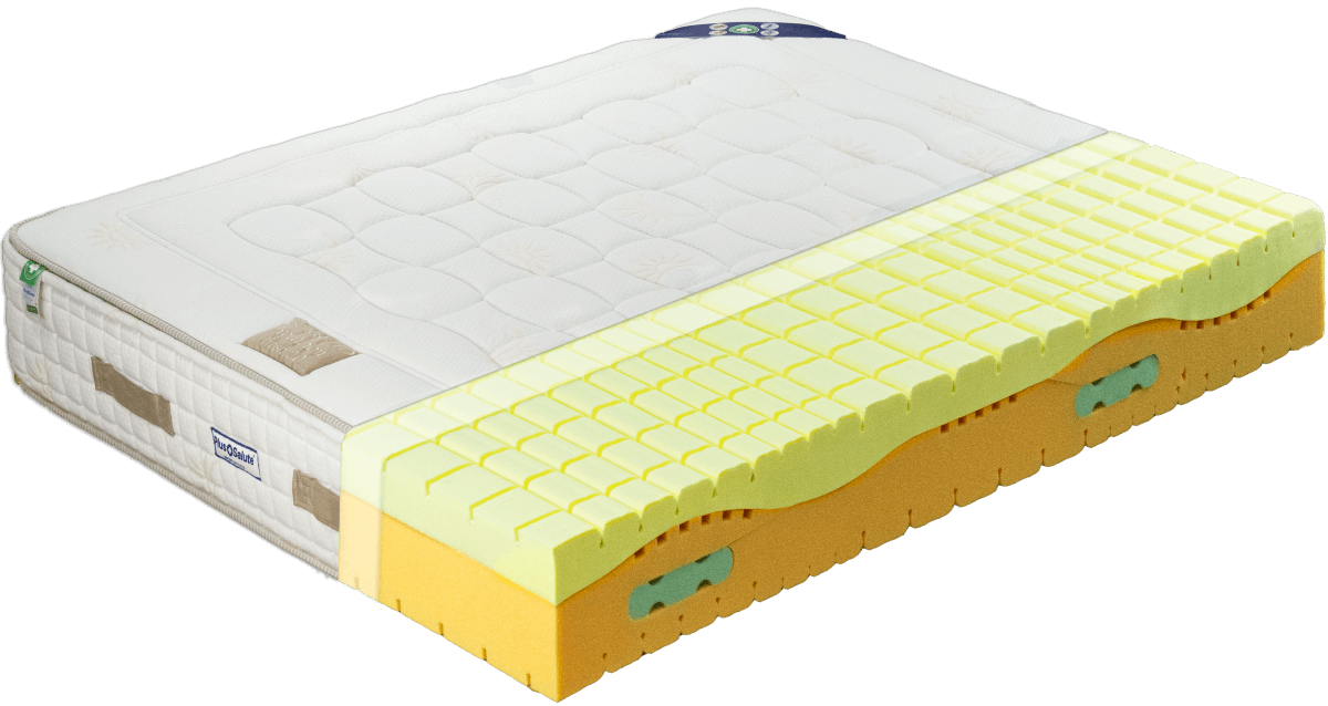 Genesis HD Evolution Fresh 2.0