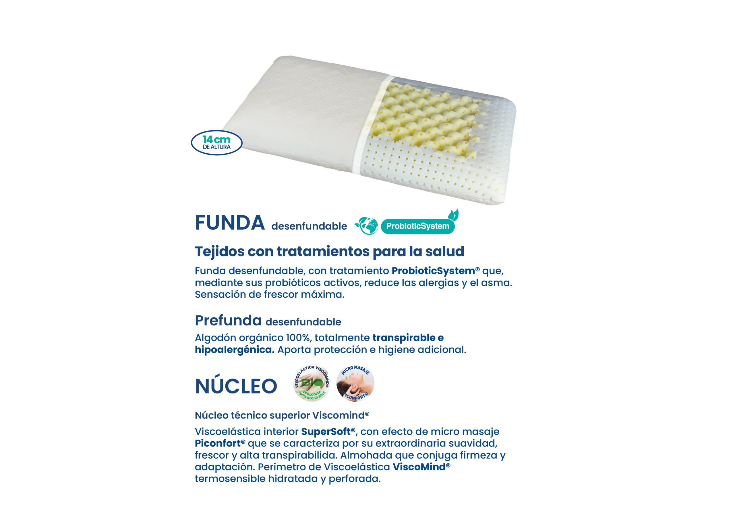 Dual Massage Ficha
